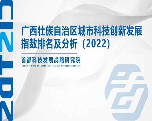 我想艹逼【成果发布】广西壮族自治区城市科技创新发展指数排名及分析（2022）